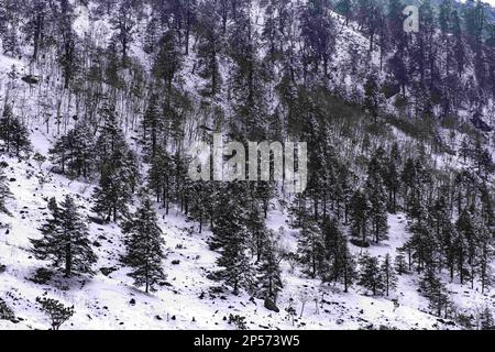 Gangtok, Sikkim, Inde. 28th févr. 2023. Un lac glaciaire gelé, entouré de sommets imposants et d'air froid, blanchi par un ciel bleu azur - le lac Changu est l'un de ces rares endroits qui dignent la platitude. Ce plan d'eau bleu émeraude et étincelant, alimenté par la neige fondante des montagnes environnantes, est situé à une hauteur de 12 400 pieds sur la route Gangtok-Nathula. Aussi connu sous le nom de lac Tsomgo, il se traduit par ''˜source d'eau. (Credit image: © Zakir Hossain/Pacific Press via ZUMA Press Wire) USAGE ÉDITORIAL SEULEMENT! Non destiné À un usage commercial ! Banque D'Images