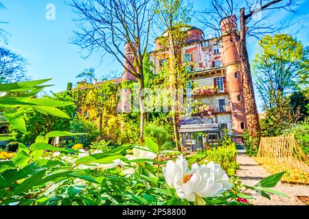 Les pivoines blanches fleurissent dans le jardin botanique de Brera, Milan, Italie Banque D'Images