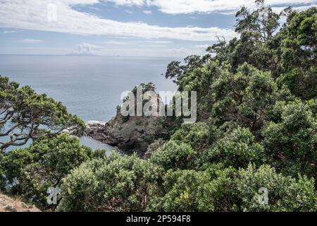 Une jolie vue sur la côte et l'océan pacifique depuis une île au large d'Auckland, à Aotearoa, en Nouvelle-Zélande. Banque D'Images