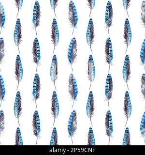 Fond bleu aquarelle avec motif en plumes jay sans couture. Banque D'Images