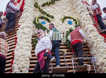 Les hommes plaçant des offrandes de fleurs sur une grande réplique en bois statue de Virgen de los Desamparados, festival Fallas, Plaza de la Virgen Square, Valence Banque D'Images