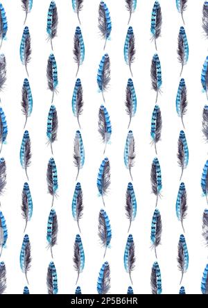 Aquarelle bleu motif plume de jay texture d'arrière-plan. Banque D'Images