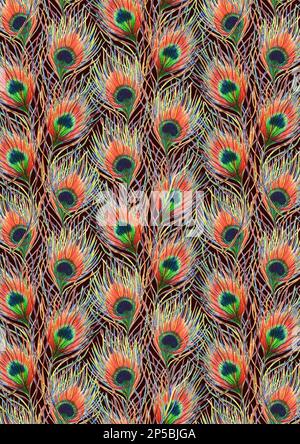 Arc-en-ciel coloré paon oiseau plume motif texture. Banque D'Images