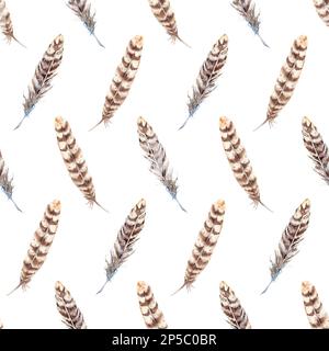 Motif en plumes beige aquarelle à rayures marron sans coutures. Banque D'Images