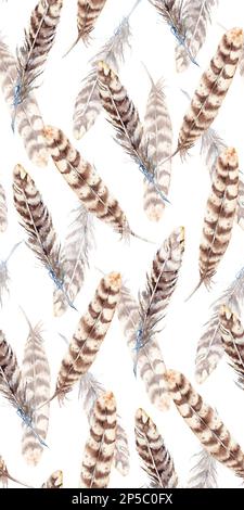 Motif en plumes beige aquarelle à rayures marron sans coutures. Banque D'Images