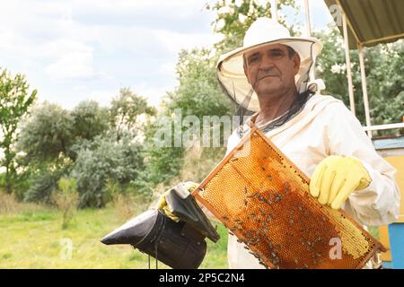 Apiculteur avec pot de fumée et cadre au miel à l'apiaire Banque D'Images