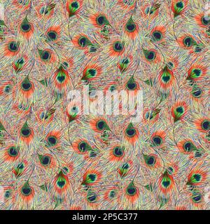 Arc-en-ciel coloré paon oiseau plume sans couture motif texture d'arrière-plan. Banque D'Images