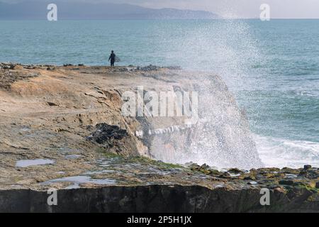 Vagues, Océan, Santa Cruz, littoral, nature, Pacifique, Californie Banque D'Images