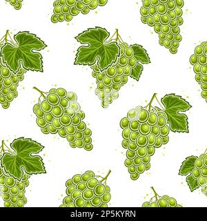 Raisins vectoriels sans couture motif, fond carré répété avec illustration découpée de petits pains de raisin mûrs avec feuilles vertes pour l'emballage du papier, grou Illustration de Vecteur