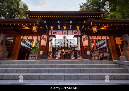 Fukuoka, Japon - novembre 20 2022 : sanctuaire de Kushida dans la salle de Hakata, fondé en 757, le sanctuaire dédié à Amaterasu la déesse du soleil et à susanoo dieu Banque D'Images