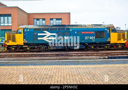 Classe 37501 Mary Queen of Scots s'est poignardée à York, en Angleterre Banque D'Images