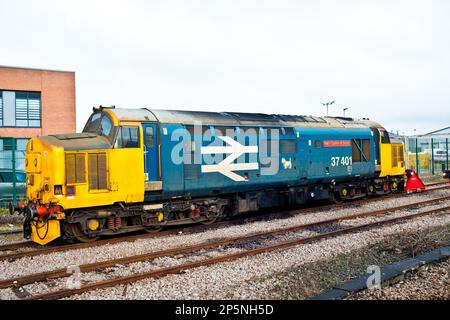 Classe 37501 Mary Queen of Scots s'est poignardée à York, en Angleterre Banque D'Images