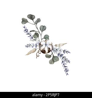 composition de lavande, coton, laguru, eucalyptus Banque D'Images