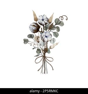 bouquet d'eucalyptus, de coton et de lagurus Banque D'Images