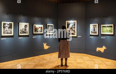 Londres Royaume-Uni 7 mars 2023 en 2023, une exposition spéciale d'une pièce à la Wallace Collection – la Reine et son corgis (8 mars - 25 juin 2023) – célèbre par des photographies le lien unique que la Reine avait avec son corgis. Chaque décennie de sa vie sera marquée par une image unique qui capture sa majesté et son amour de la race. Banque D'Images