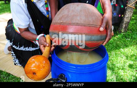 Une cérémonie colorée pour célébrer la première récolte du fruit sacré de la marula qui est également utilisé pour préparer de la bière traditionnelle à Limpopo, en Afrique du Sud Banque D'Images