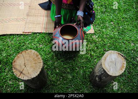 Une cérémonie colorée pour célébrer la première récolte du fruit sacré de la marula qui est également utilisé pour préparer de la bière traditionnelle à Limpopo, en Afrique du Sud Banque D'Images