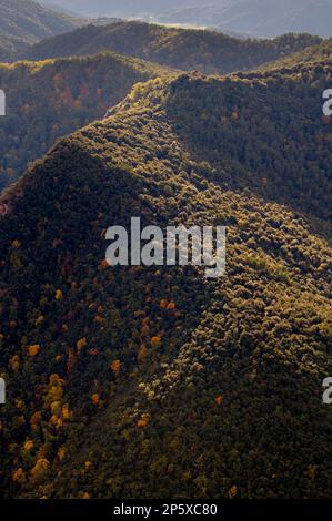 Sur les ballons de plus de Serra de Sant Julià, Parc Naturel de la Garrotxa Girona,province. La Catalogne. Espagne Banque D'Images