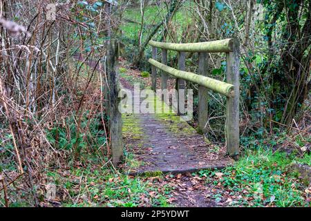 Un vieux pont en bois au-dessus d'un ruisseau recouvert de mousse verte. Traversée de la rivière dans la forêt. Banque D'Images