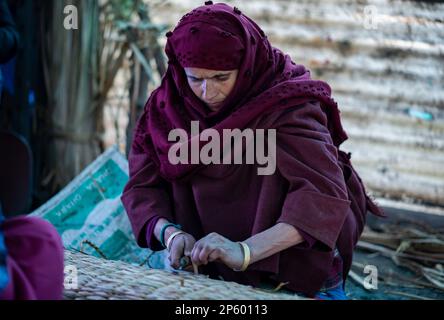 Srinagar, Inde. 06th mars 2023. Une femme artisanale utilise une scie à main pour couper des roseau supplémentaires du 'waguv', un tapis traditionnel sur son lieu de travail à Srinagar. Waguv est un ancien métier cachmiri de fabrication de tapis qui date du 18th siècle. L'artisanat de 300 ans implique d'enturer le roseau et la paille de riz ensemble en parfaite harmonie pour créer un morceau de plancher qui fournit la chaleur en hiver et un effet de refroidissement en été. Le tapis unique est connu pour avoir un effet de refroidissement pendant les étés et un effet de réchauffement pendant les hivers. Crédit : SOPA Images Limited/Alamy Live News Banque D'Images