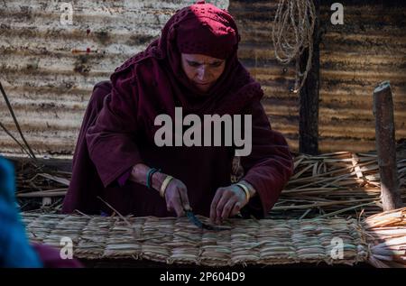 Srinagar, Inde. 06th mars 2023. Une femme artisanale utilise une scie à main pour couper des roseau supplémentaires du 'waguv', un tapis traditionnel sur son lieu de travail à Srinagar. Waguv est un ancien métier cachmiri de fabrication de tapis qui date du 18th siècle. L'artisanat de 300 ans implique d'enturer le roseau et la paille de riz ensemble en parfaite harmonie pour créer un morceau de plancher qui fournit la chaleur en hiver et un effet de refroidissement en été. Le tapis unique est connu pour avoir un effet de refroidissement pendant les étés et un effet de réchauffement pendant les hivers. (Photo par Irrees Abbas/SOPA Images/Sipa USA) crédit: SIPA USA/Alay Live News Banque D'Images