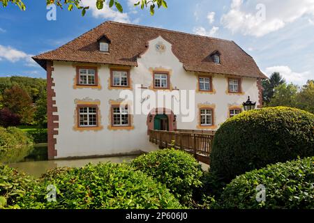 Château d'eau d'Inzlingen pendant l'été, Allemagne Banque D'Images