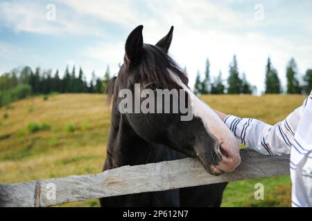 Femme à cheval beau cheval près d'une clôture en bois à l'extérieur, à proximité. Bel animal domestique Banque D'Images