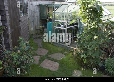 serre dans le petit jardin ktichen pavant des pierres dans la pelouse Banque D'Images