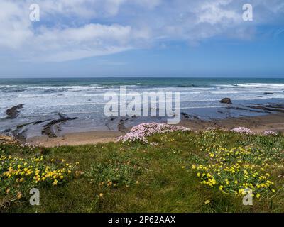 Ville balnéaire de Bude dans le nord-est de Cornwall, Angleterre Banque D'Images