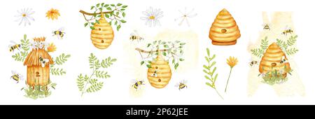 Illustration de l'aquarelle sur le thème de l'apiculture. Ruche en bois d'abeille avec toit en paille dans herbe avec fleurs. Abeilles, branche, bourdon et Banque D'Images