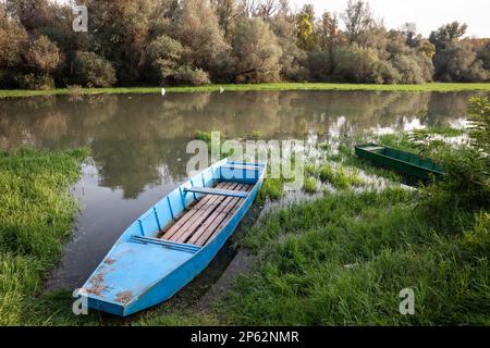 Panorama d'un bateau à rames abandonné, un petit bateau bleu, reposant sur la rive négligée de la rivière Tamis timis à Jaboka, en Voïvodine, en Serbie, en Banque D'Images