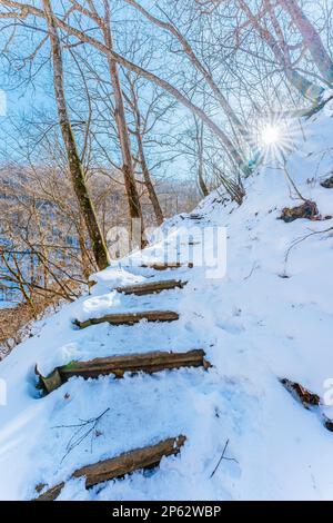 Les chutes Shiraito se couvrent de neige à l'hiver 2022 Banque D'Images