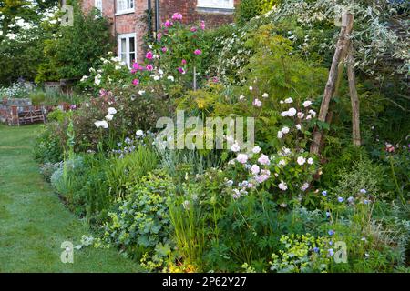 bordure de fleur de jardin de cottage parfaitement plantée Banque D'Images