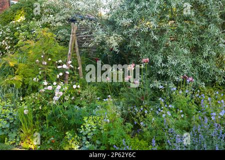 jardin de cottage parfaitement planté frontière de fleurs avec clôture en bois et saule pleureux Banque D'Images