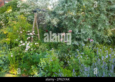 jardin de cottage parfaitement planté frontière de fleurs avec clôture en bois et saule pleureux Banque D'Images