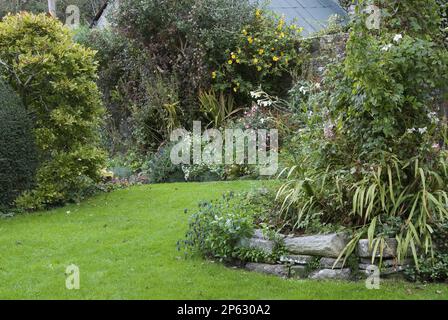 a établi la frontière de floraison par pelouse dans le jardin de campagne Banque D'Images