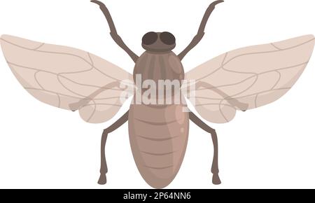 Santé tsetse Fly icône vecteur de dessin animé. L'insecte africain. Ailes anciennes Illustration de Vecteur