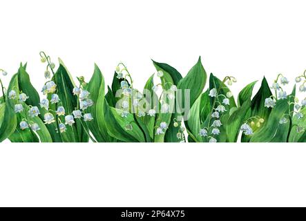 Bordure horizontale aquarelle du nénuphars de la vallée, fleurs blanches et feuilles vertes isolées. Botanique Illustration de la première fleur de printemps dans le style naturel Banque D'Images