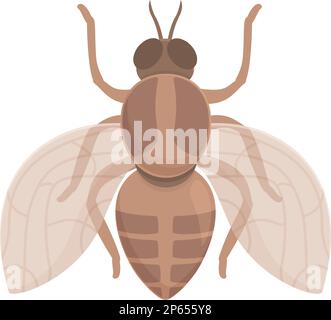 Animal mouche tsé-tsé icône vecteur de dessin animé. L'insecte africain. Ailes nature Illustration de Vecteur