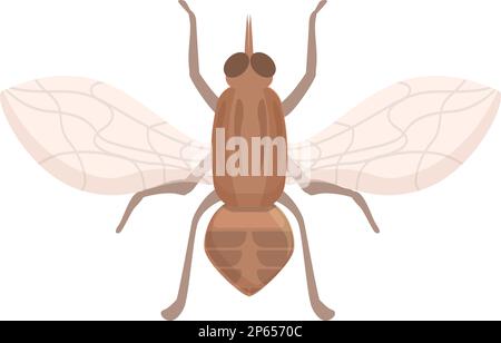 Glossinidae tsetse Fly icône vecteur de dessin animé. Insecte moustique. Maison Tik Illustration de Vecteur