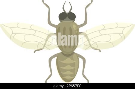 Vecteur de dessin animé de l'icône de mouche tsé-tsé de sang. L'insecte africain. Ailes nature Illustration de Vecteur