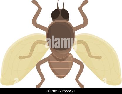 Vecteur de dessin animé d'icône de mouche tsé-tsé tropical. La nature tik. Moustique africain Illustration de Vecteur