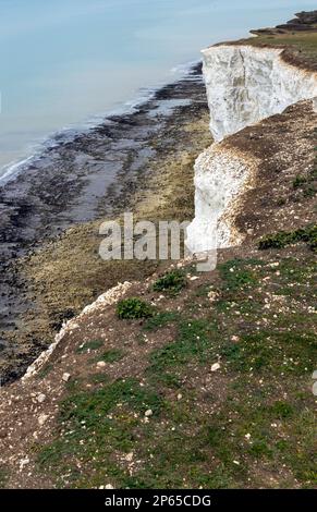 Falaises de sept sœurs à Birling Gap sur la côte sud de l'Angleterre Banque D'Images
