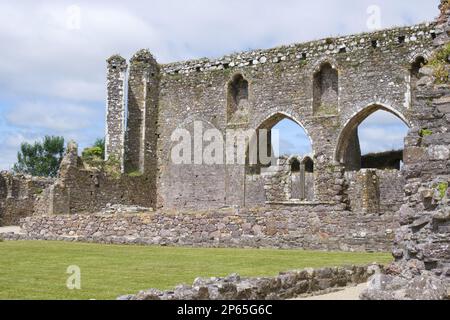 Dunbrody Abbey County Wexford EIRE Banque D'Images