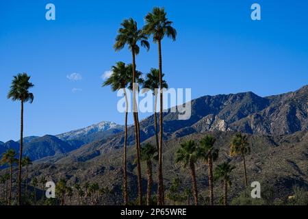 Vue sur la plage tropicale avec palmiers et toile de fond de montagne Banque D'Images