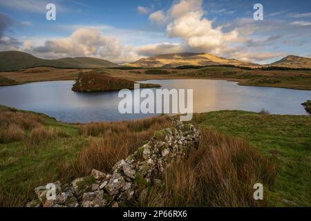 Vue sur le lac jusqu'au mont Snowdon à Llyn y Dywarchen dans le parc national de Snowdonia, pays de Galles, Royaume-Uni, Europe Banque D'Images