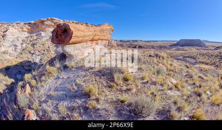 Une bûche pétrifiée géante équilibrée sur un piédestal de grès le long de la piste du bassin rouge, parc national de la forêt pétrifiée, Arizona, États-Unis d'Amérique Banque D'Images