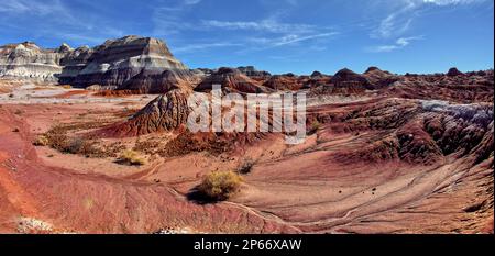 Les collines bentonites rouges du bassin Rouge dans le parc national de la Forêt pétrifiée, Arizona, États-Unis d'Amérique, Amérique du Nord Banque D'Images