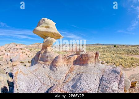 Un rocher de hoodoo dans le jardin de Pharaon qui ressemble à une tête de canard, Petrified Forest, Arizona, États-Unis d'Amérique, Amérique du Nord Banque D'Images