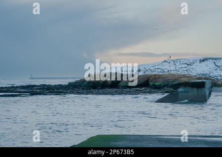 Vue sur le port de Cullercoats et la plage couverte de neige Banque D'Images